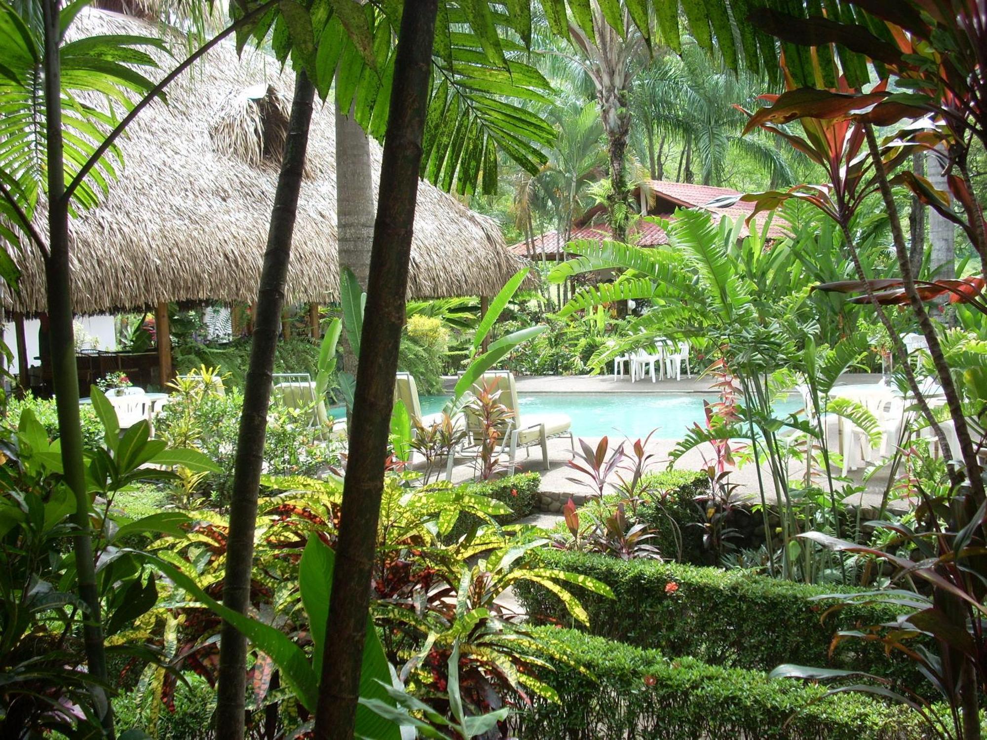 La Palapa Ecolodge Portalón Exteriör bild