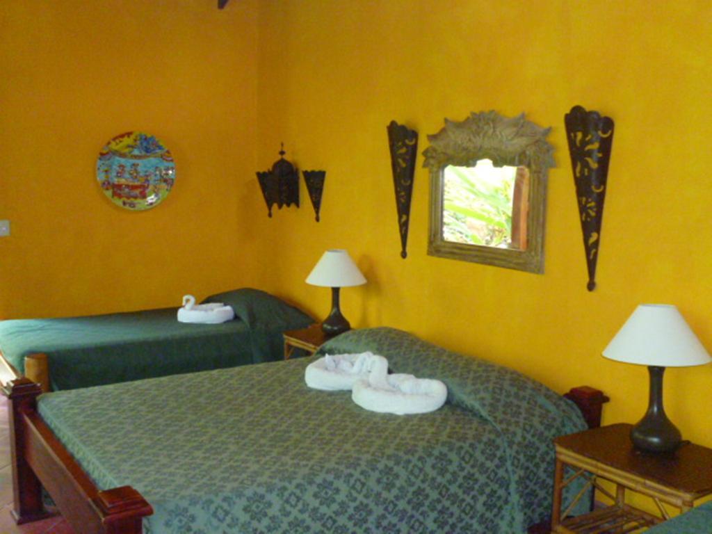 La Palapa Ecolodge Portalón Exteriör bild