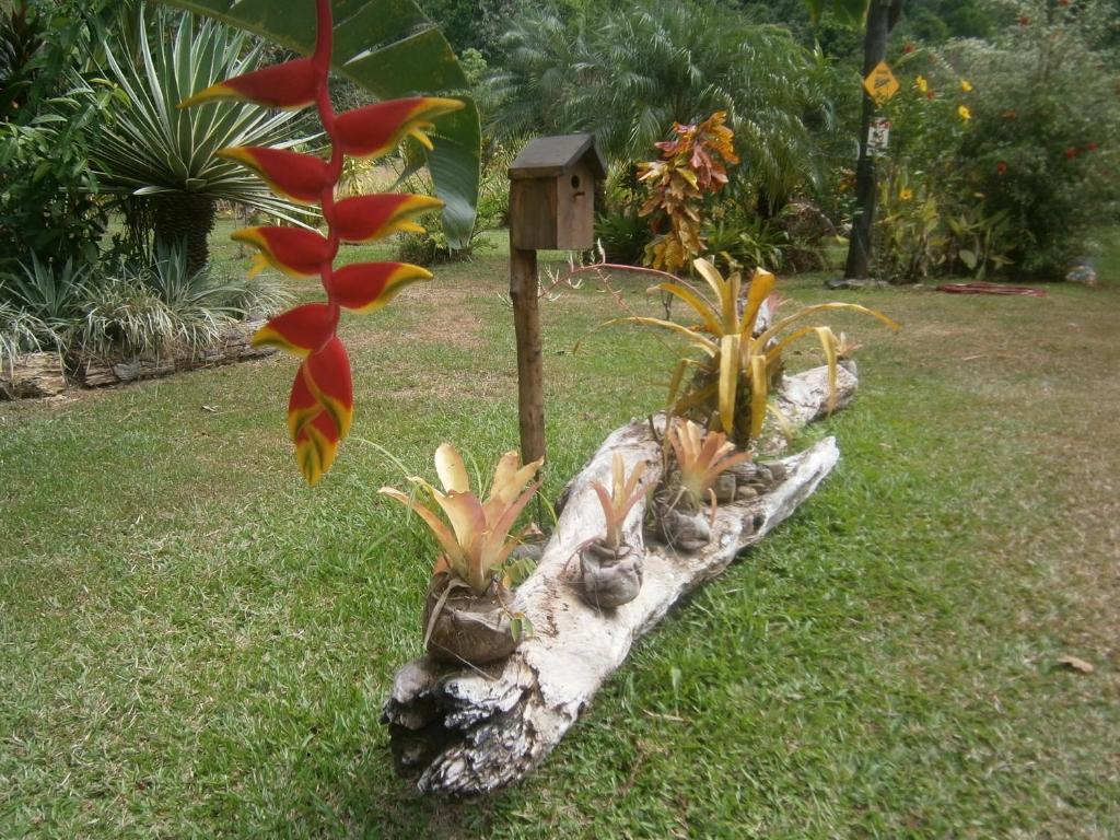 La Palapa Ecolodge Portalón Exteriör bild