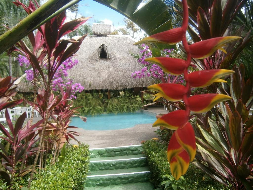 La Palapa Ecolodge Portalón Exteriör bild